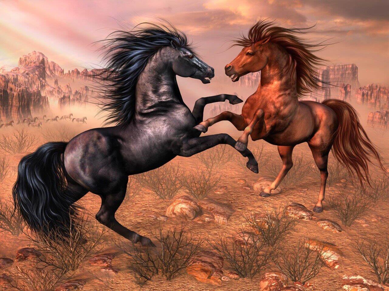 Arabian Horse Hd Wallpapers P - Imagens De Cavalo Em 3d , HD Wallpaper & Backgrounds