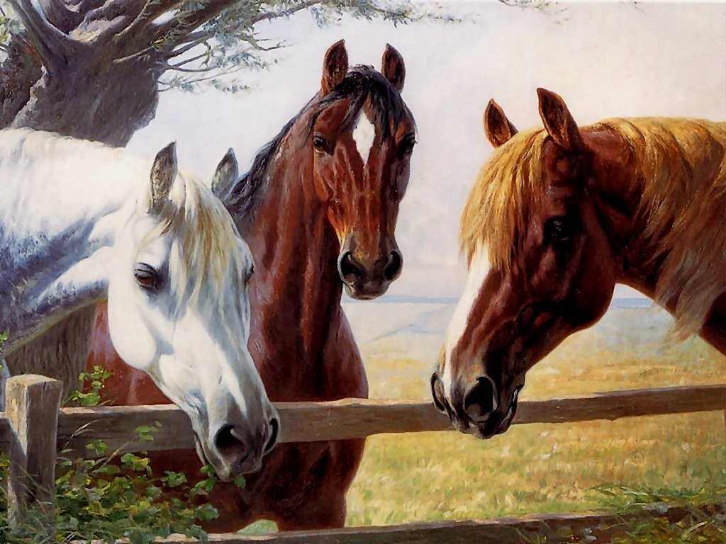 Horses Fence Animals Painting Oil Caballos En La Horses - 3 Horses Wallpaper Hd , HD Wallpaper & Backgrounds