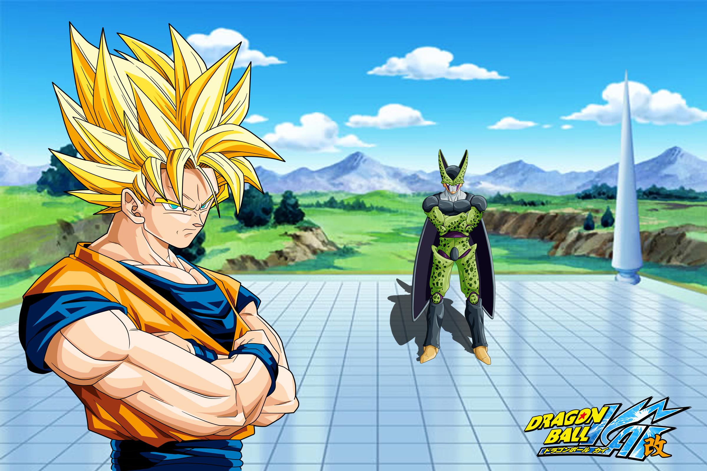 Dragon Ball Z Wallpaper - Son Goku Vs Cell , HD Wallpaper & Backgrounds