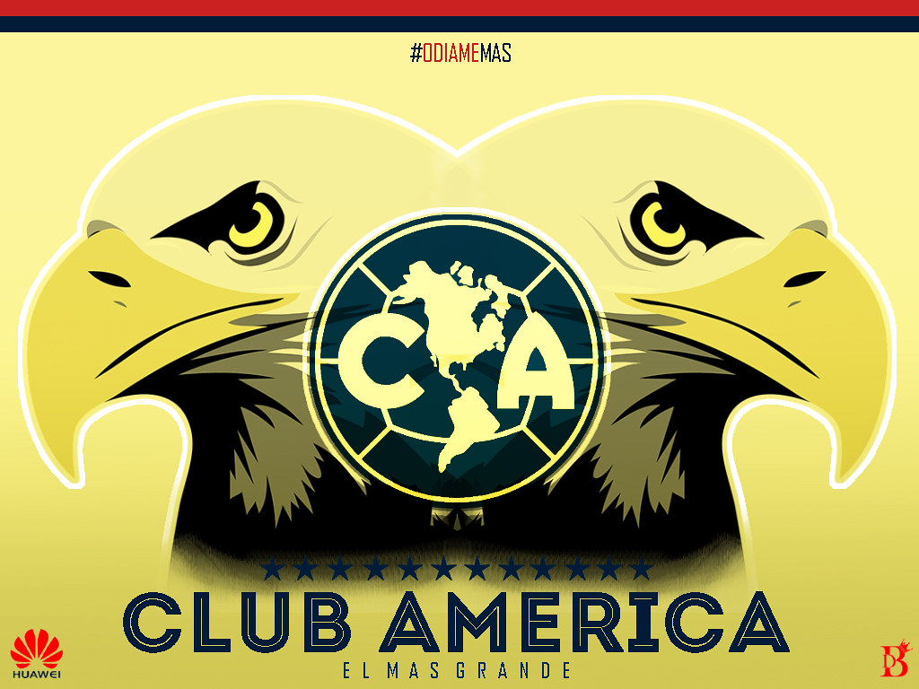 Wallpaper Club America - Bald Eagle Clipart , HD Wallpaper & Backgrounds