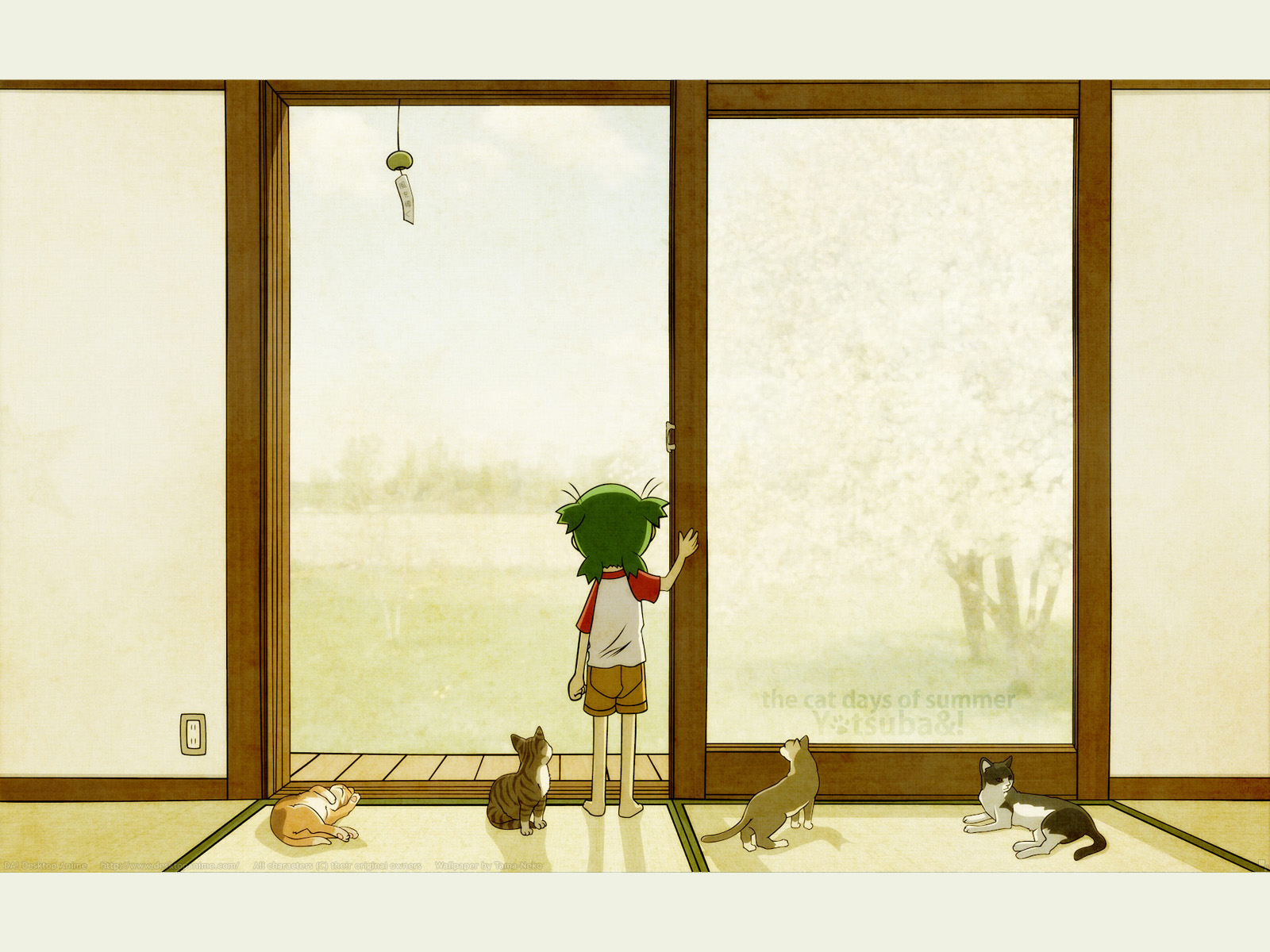 The Cat Days Of Summer Yotsuba Wallpaper Hd Hd Wallpaper Backgrounds Download