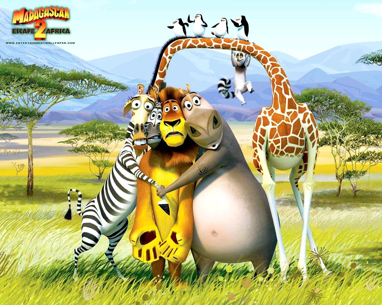 Cartoon Wallpapers - Hd Madagascar , HD Wallpaper & Backgrounds