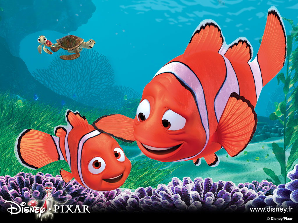 Download - Finding Nemo , HD Wallpaper & Backgrounds