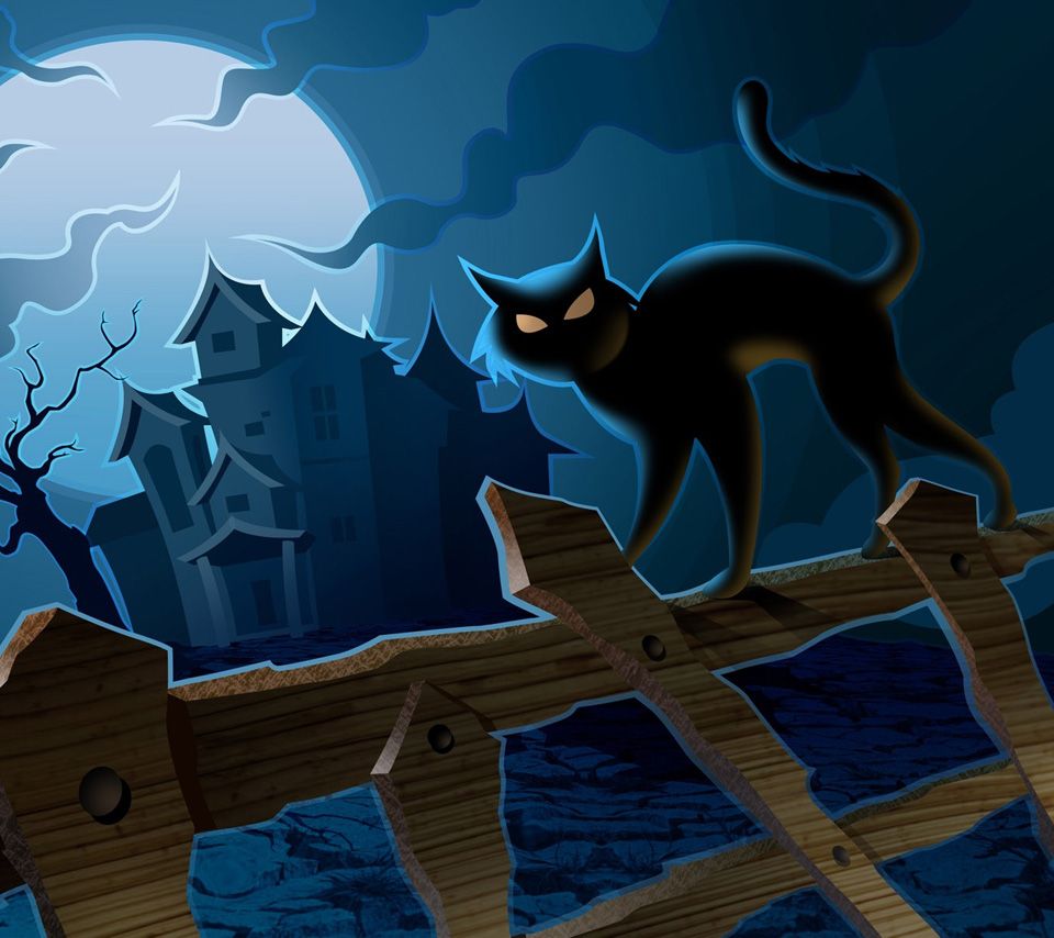 Cat In Halloween - Halloween Wallpaper Cat Free , HD Wallpaper & Backgrounds