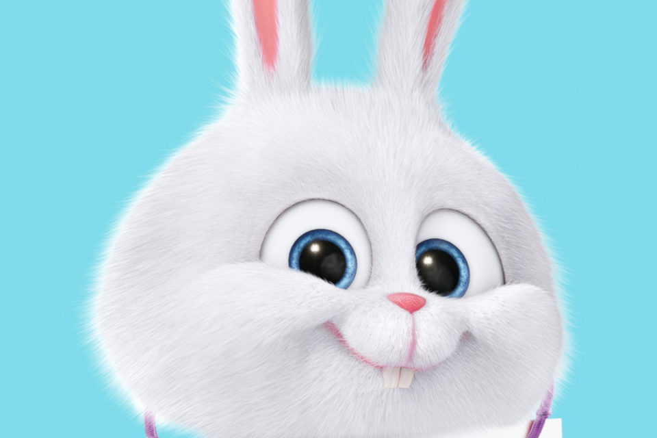 Cute 3d Wallpaper - Bunny From Secret Life Of Pets , HD Wallpaper & Backgrounds