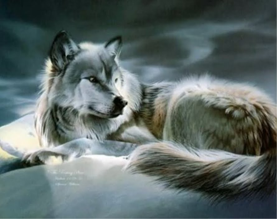 1000 Ideeën Over Anime Wolf Wallpaper Op Pinterest - Oil Painting Of Animals , HD Wallpaper & Backgrounds