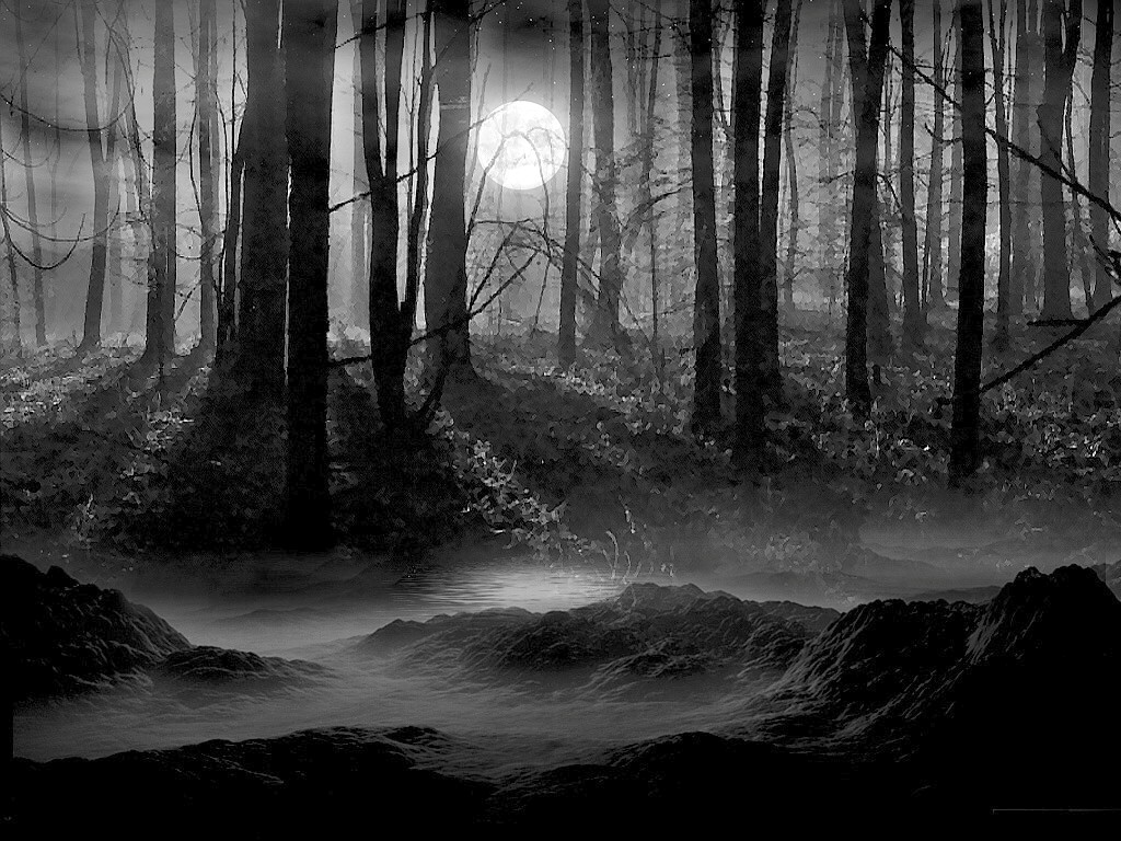 Black And White Pictures Anime Forest 34 Wide Wallpaper - Dark Forest With Moon , HD Wallpaper & Backgrounds