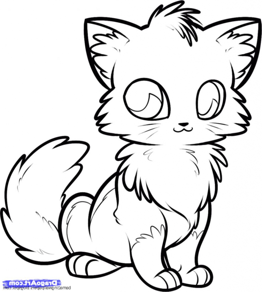 Cute Animal Sketch Photo Cute Animal Drawings Cute - Baby Fox Cute Fox Coloring Pages , HD Wallpaper & Backgrounds