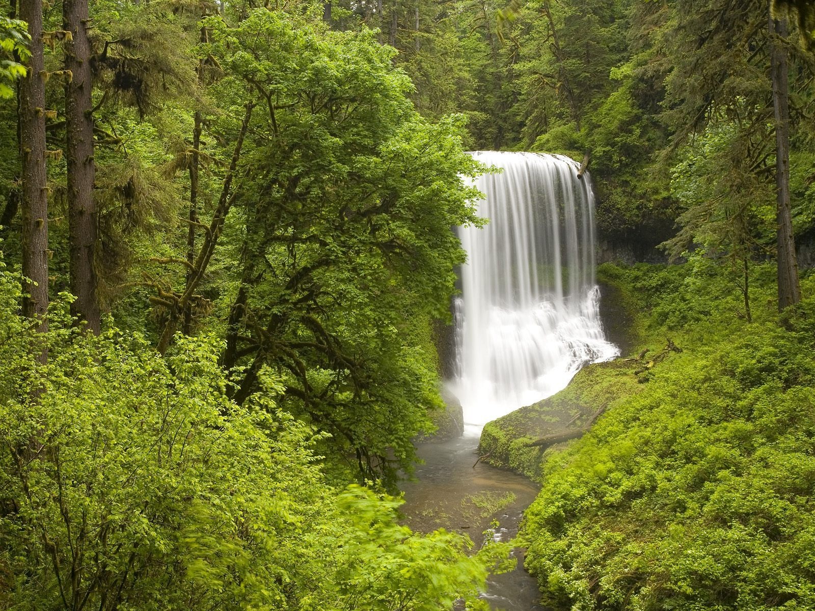 1024 768 - Silver Falls State Park, Middle North Falls , HD Wallpaper & Backgrounds