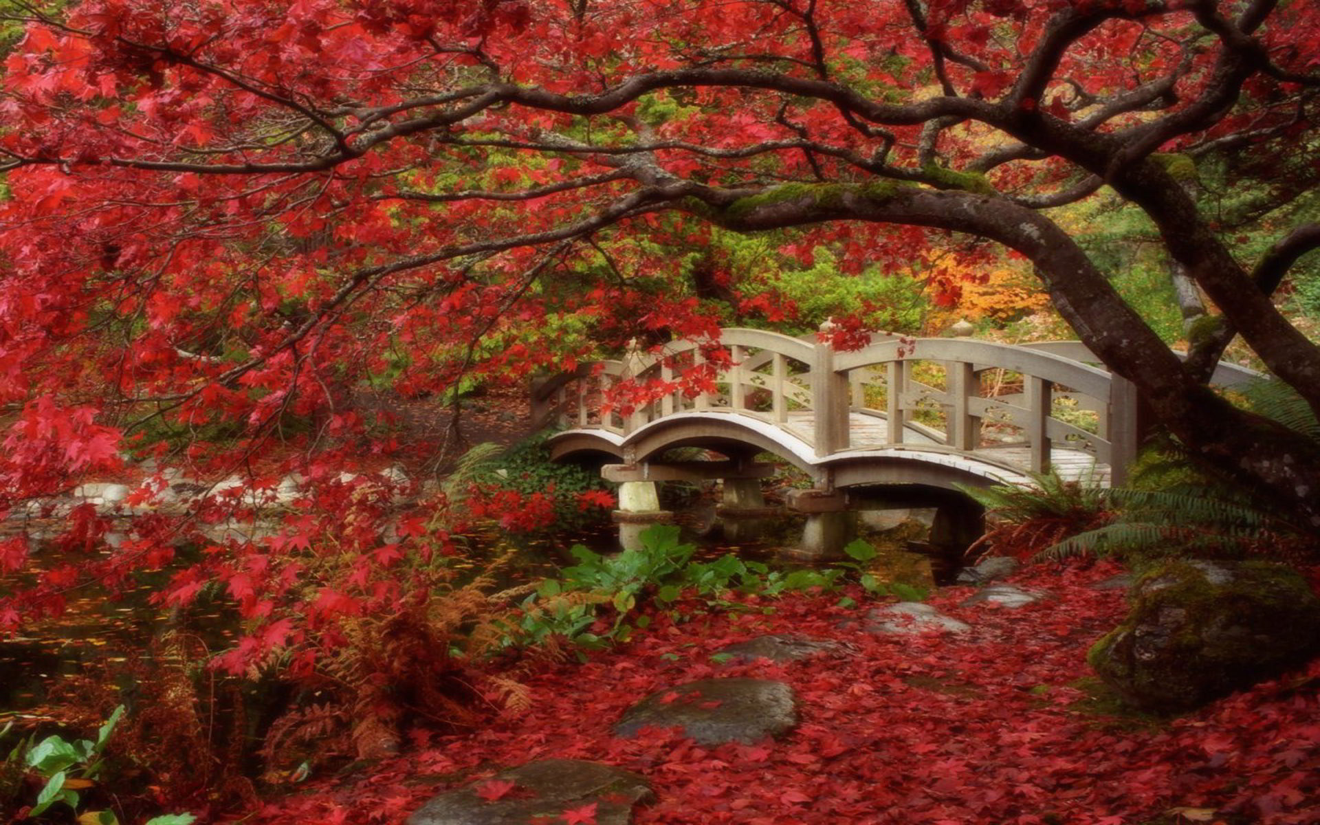 Jardin Japones - - Shinto Love Of Nature , HD Wallpaper & Backgrounds