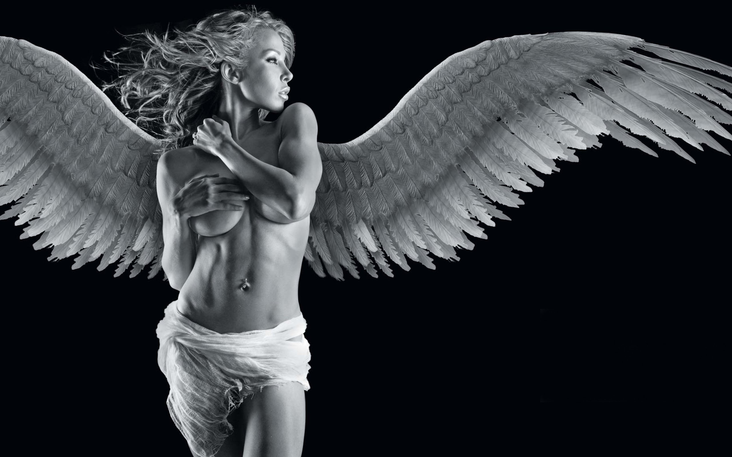 Angel Wings On Dark Background , HD Wallpaper & Backgrounds