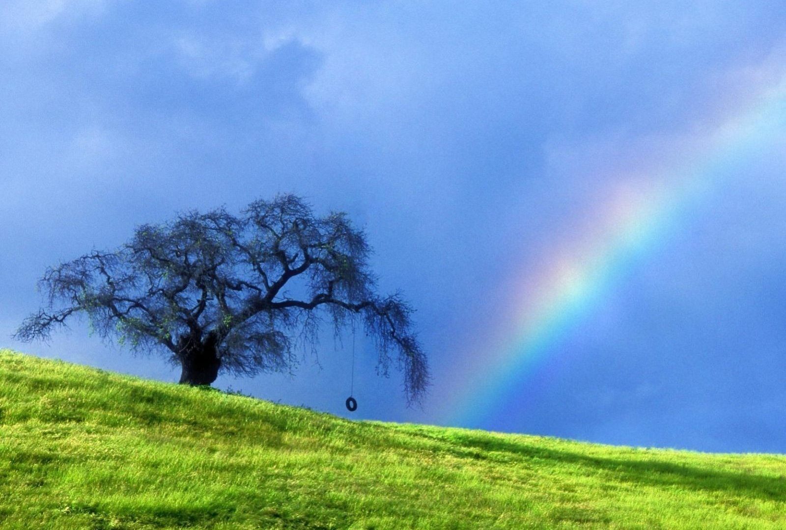 Arco Iris Chuva Sol Natureza Grama Arvore Verde Rainbow - รูปภาพ พื้น หลัง วิว สวย ๆ , HD Wallpaper & Backgrounds