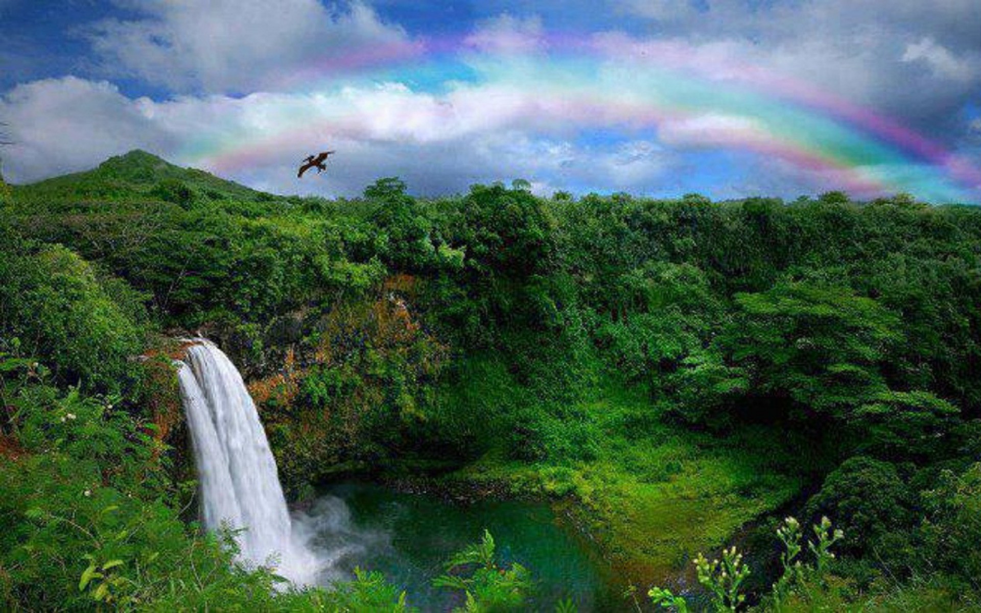 Cascadas Del Arcoiris - Kauai , HD Wallpaper & Backgrounds