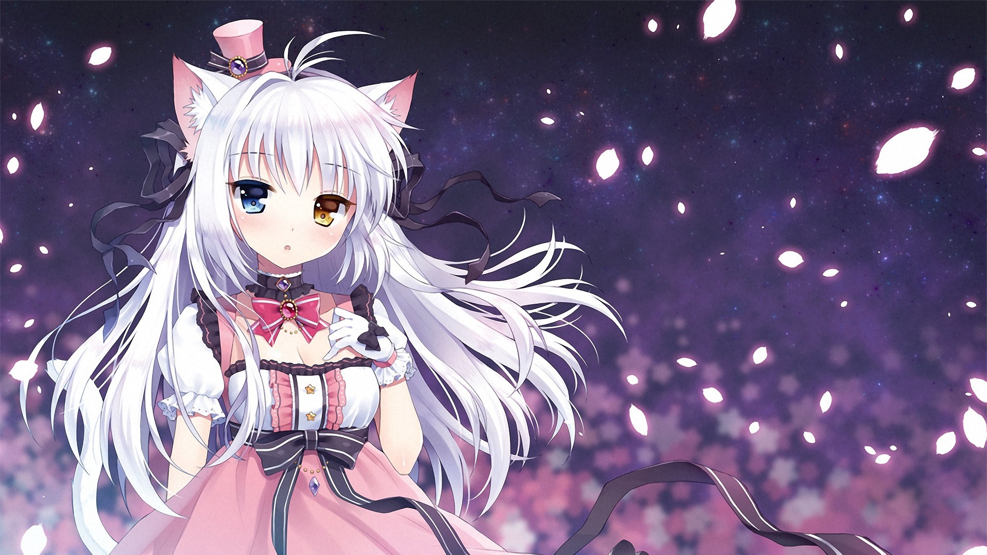 Manga Girl Wallpaper - Anime Cat Girl Background , HD Wallpaper & Backgrounds
