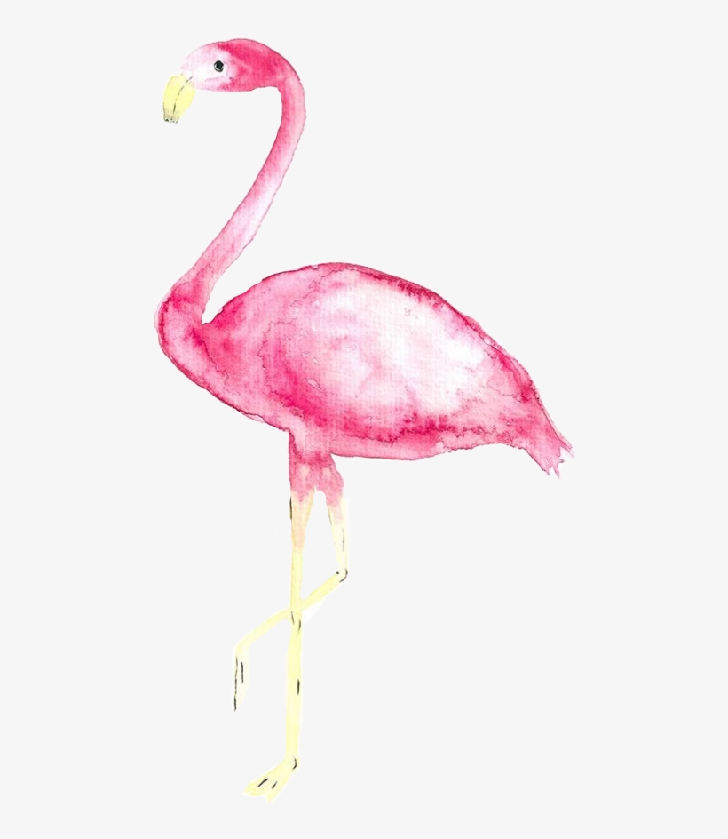 Iphone Se Wallpaper Pastel Flamingo Real, Transparent - Flamingo Malen Acryl , HD Wallpaper & Backgrounds