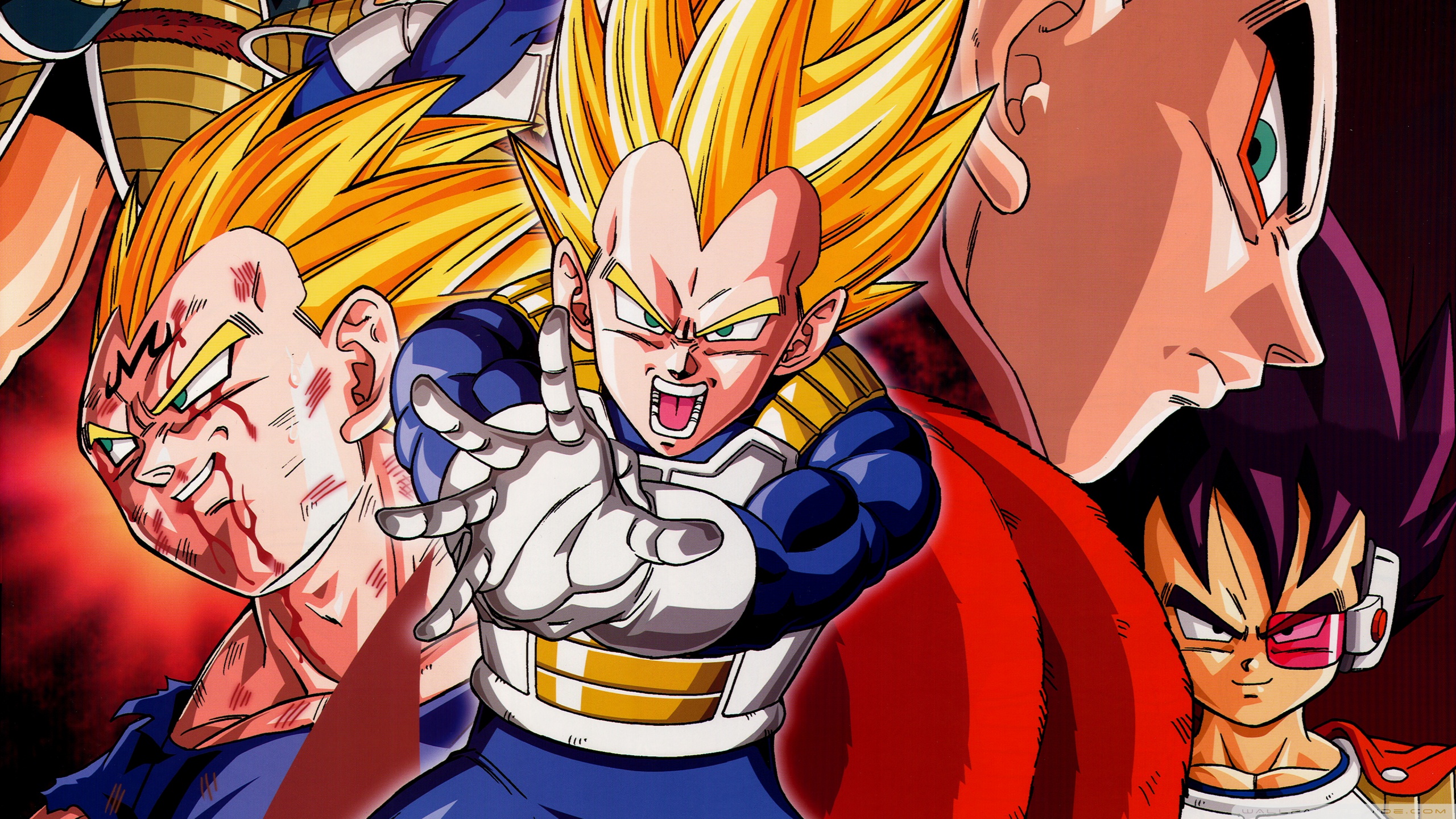 Dragon Ball Z , HD Wallpaper & Backgrounds