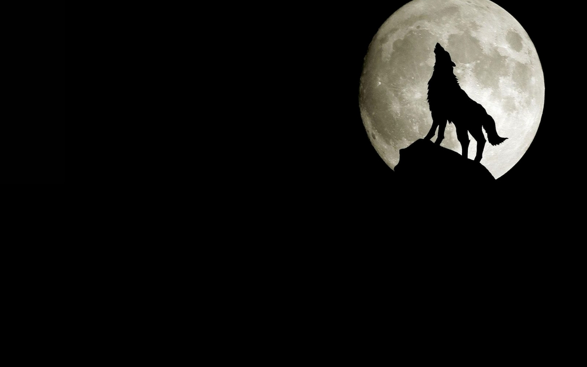 Wolf Moon , HD Wallpaper & Backgrounds