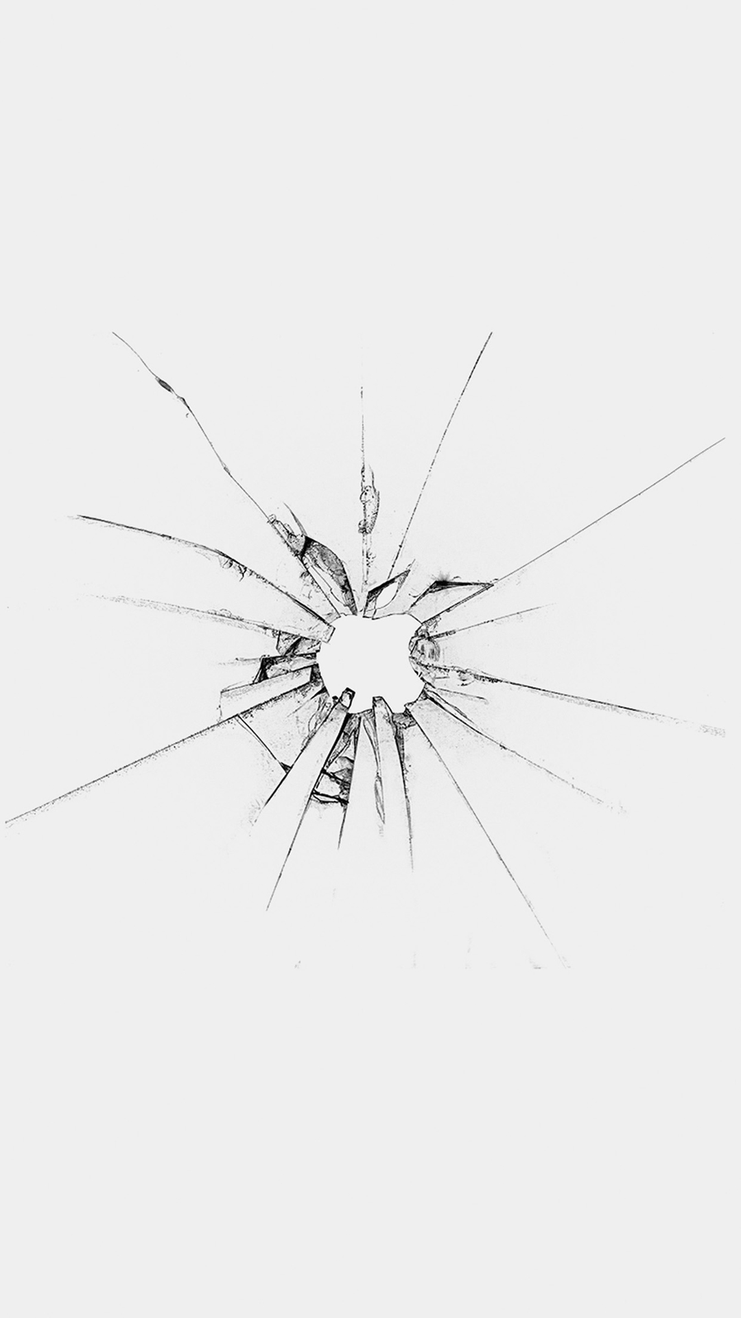 Apple Logo Window White Broken Iphone 8 Wallpaper - Insect , HD Wallpaper & Backgrounds