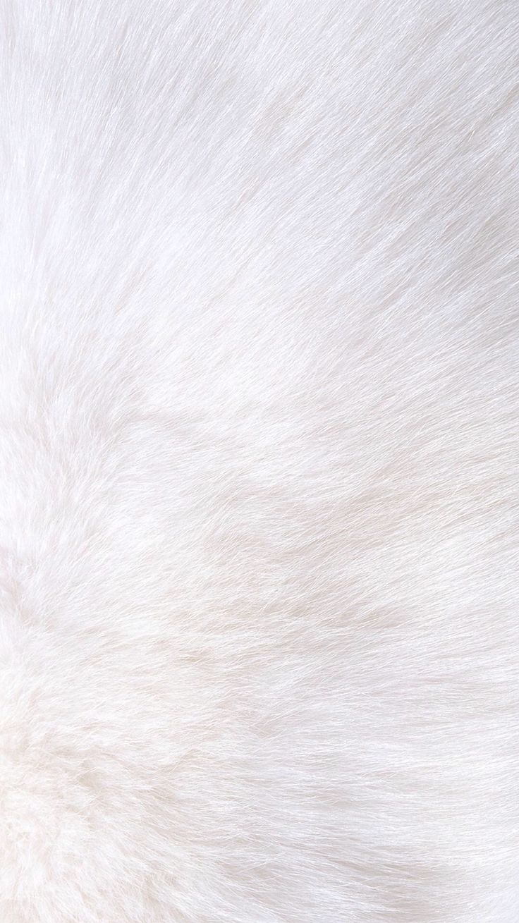 White Iphone Background - White Fur Iphone Background , HD Wallpaper & Backgrounds