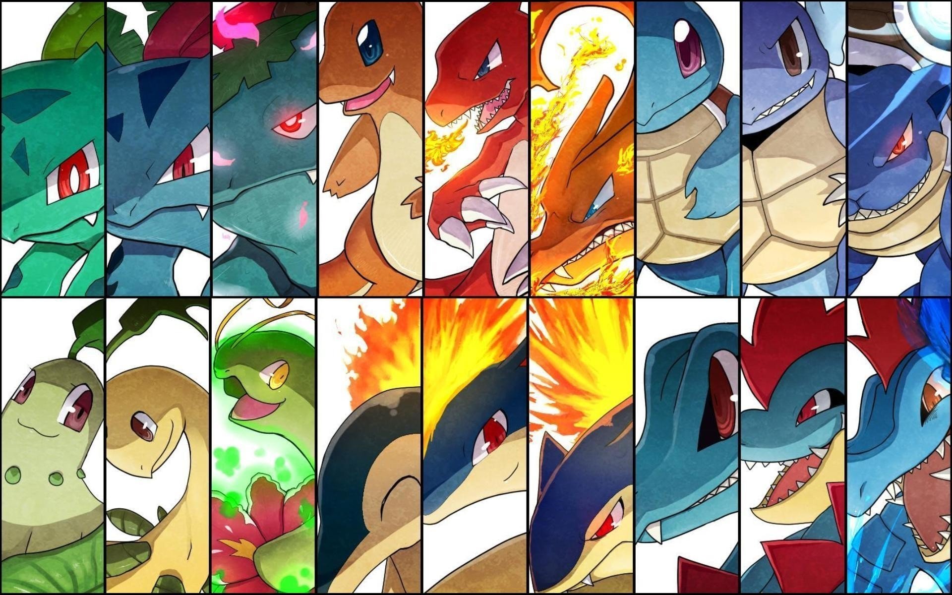 4 - Pokemon All Starter Final Evolutions , HD Wallpaper & Backgrounds