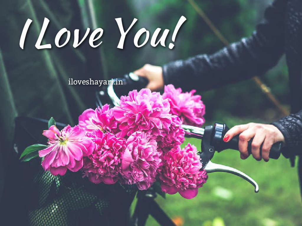 Free Download Romantic Love Images Wallpapers And Pictures - Bicycle With Flower Basket , HD Wallpaper & Backgrounds