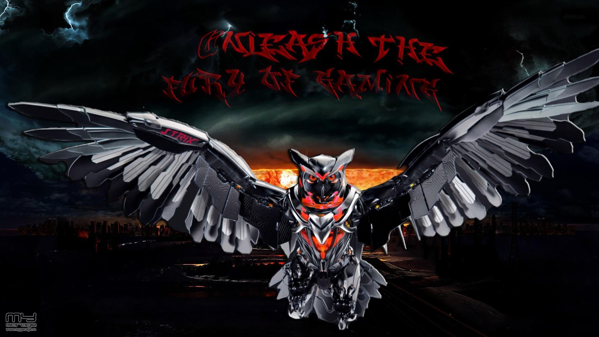 Asus Strix Wallpaper - King Vulture , HD Wallpaper & Backgrounds