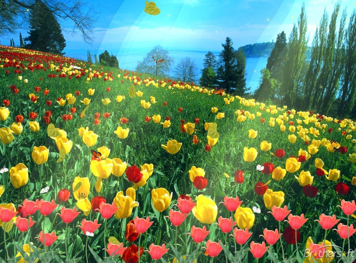 Video Wallpaper Windows 7 Free Download - Screensaver Windows 7 , HD Wallpaper & Backgrounds