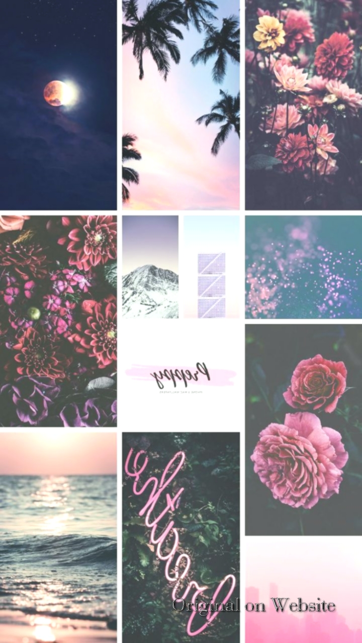 Iphone X - Garden Roses , HD Wallpaper & Backgrounds
