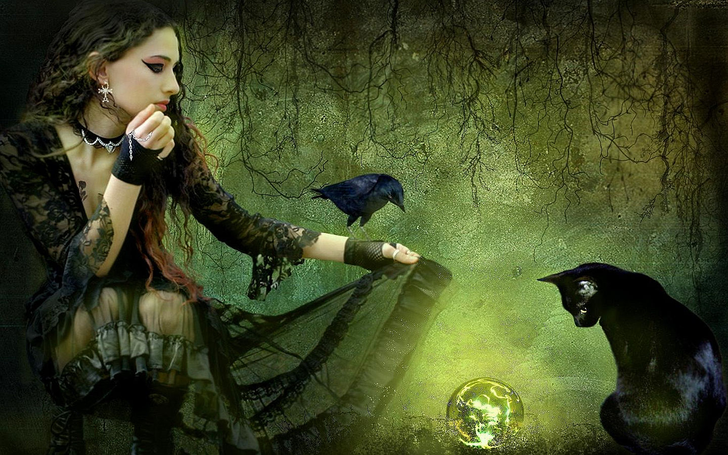 Magic Moment Wallpaper And Background Image - Green Witch , HD Wallpaper & Backgrounds