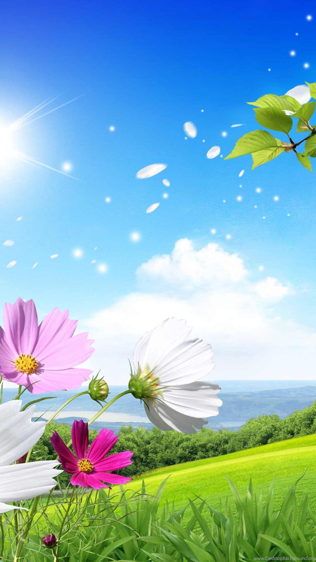 Spring Wallpapers For Iphone 6 , HD Wallpaper & Backgrounds