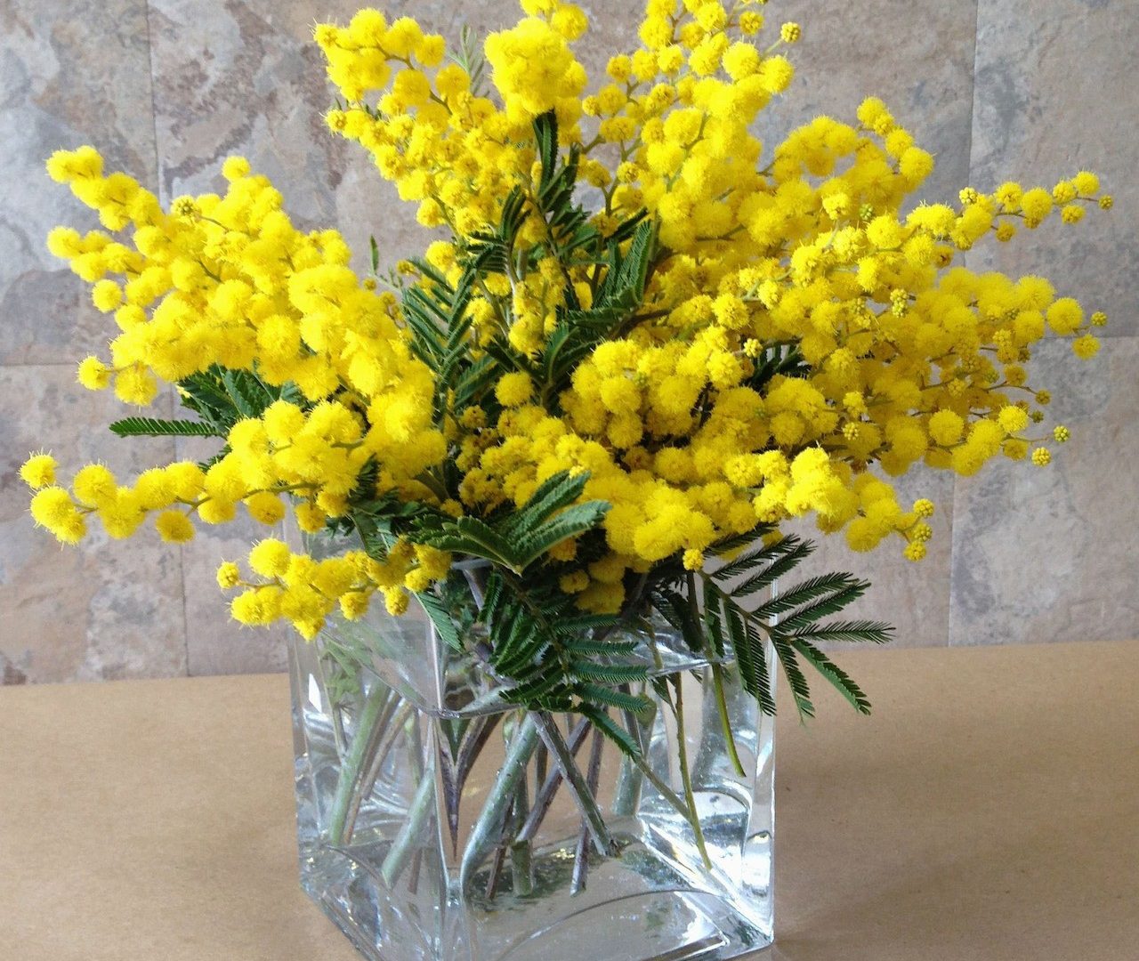 Nature Mimosa Yellow Flowers Vase Flower Wallpaper - Мимоза Цветы В Вазе , HD Wallpaper & Backgrounds