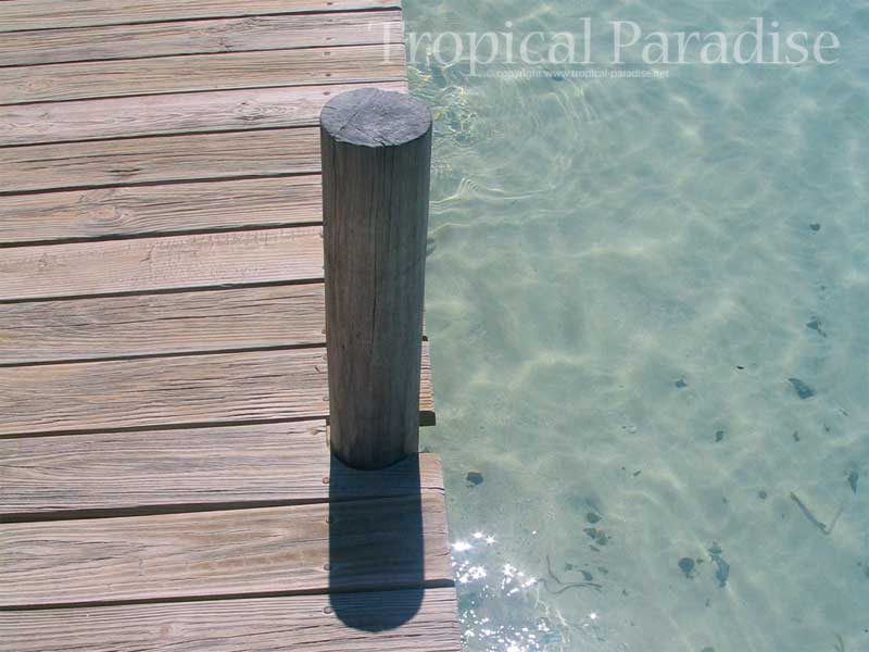 Sxm Tropical Wallpaper Pinel - Plywood , HD Wallpaper & Backgrounds