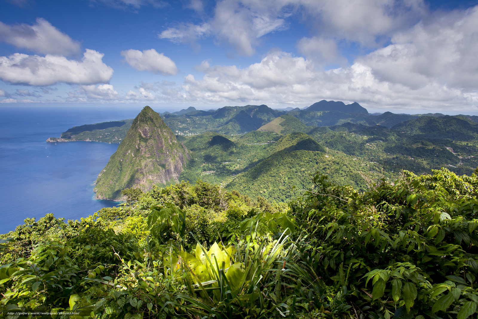 Download Wallpaper Gros Piton, Saint Lucia, West Indies - Флора Великобритании , HD Wallpaper & Backgrounds