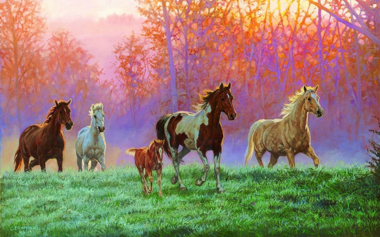 Originalwide Caballos Potro Prado Sol De La Mañana - Horse And Foal , HD Wallpaper & Backgrounds