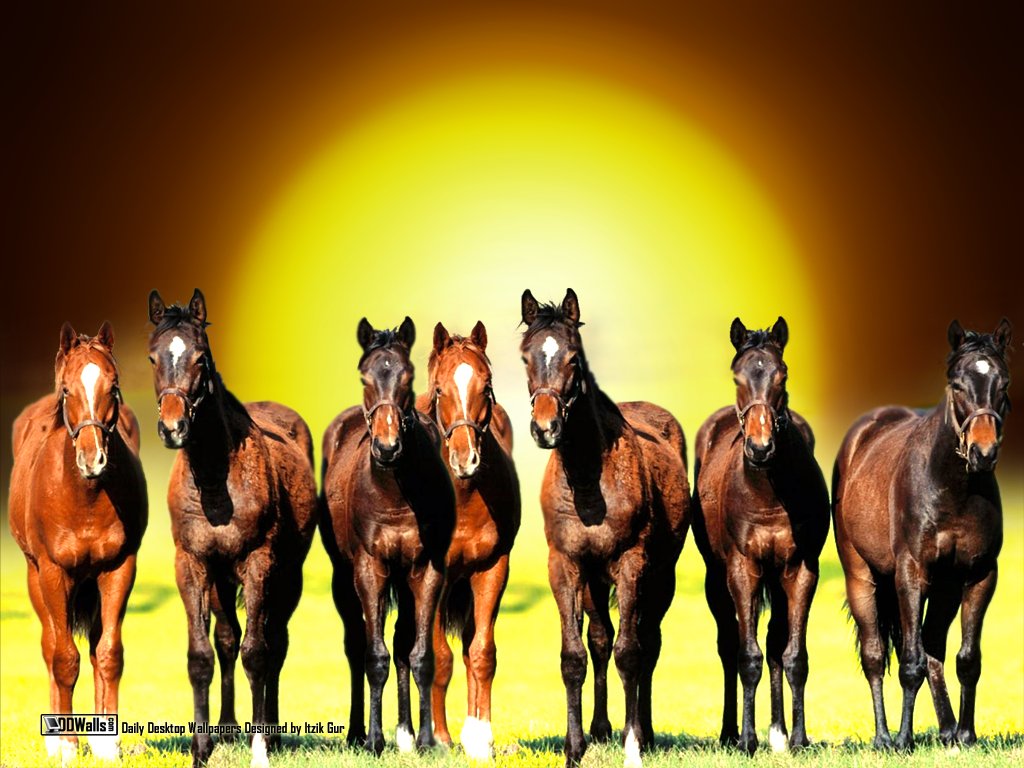 Fantasy Nature 3d - Brown Horses , HD Wallpaper & Backgrounds