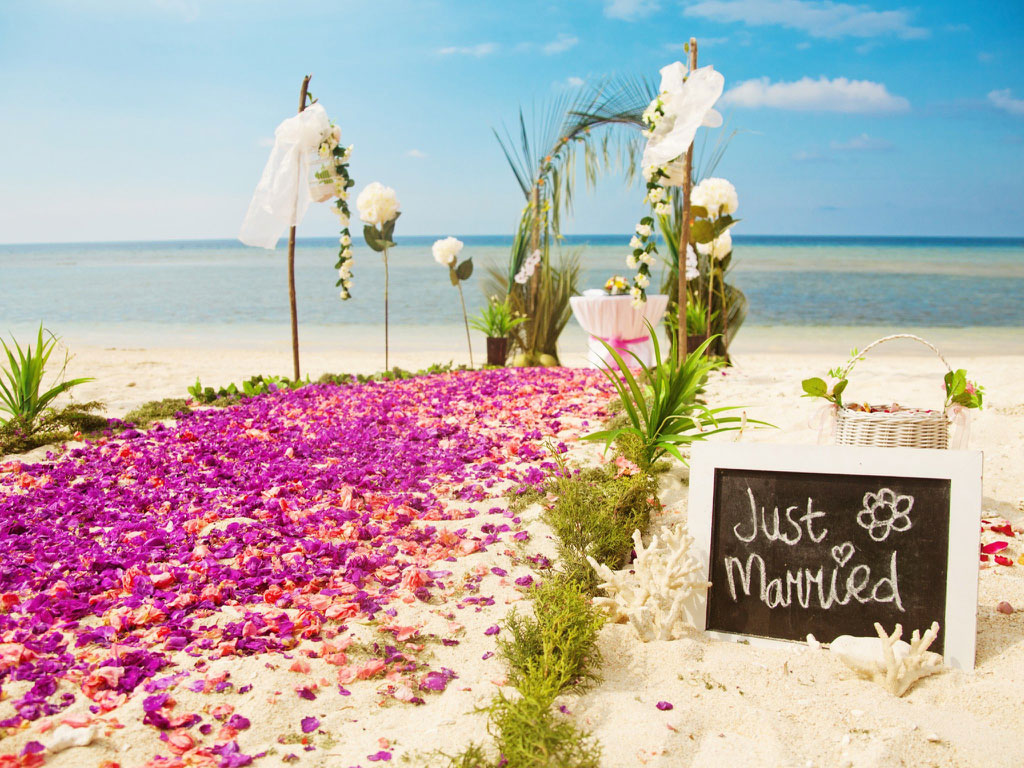 * - Wedding Destination , HD Wallpaper & Backgrounds