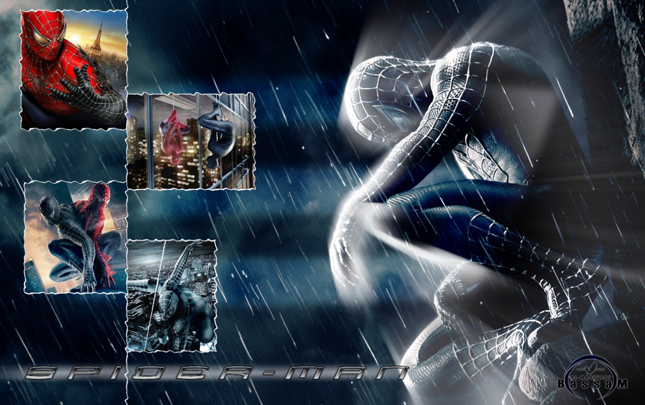 Originalwide Spider Mann 3 1 Wallpapers - Spider Man 3 Dvd Cover , HD Wallpaper & Backgrounds