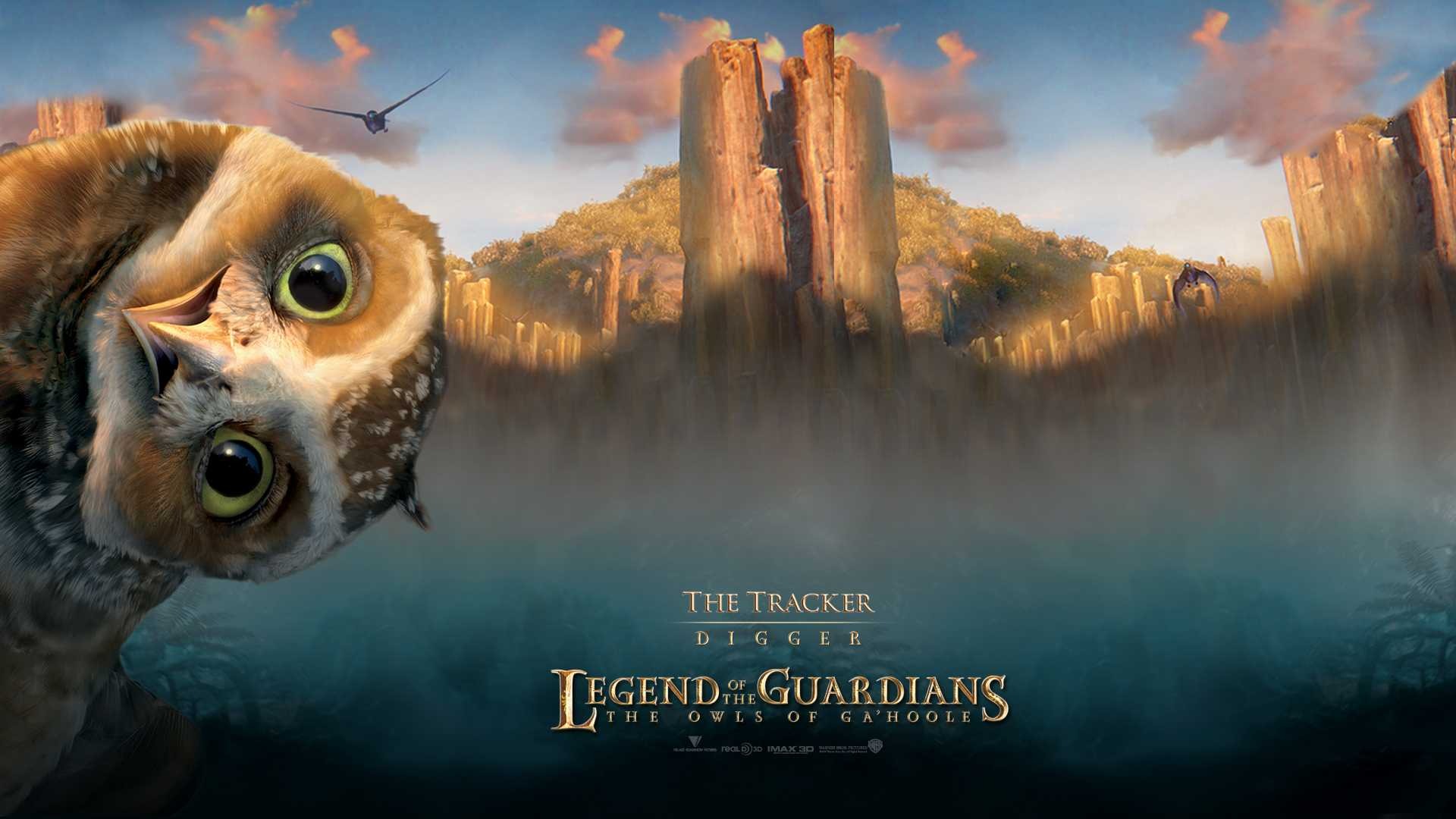 Legend Of The Guardians - Digger Legend Of The Guardians , HD Wallpaper & Backgrounds