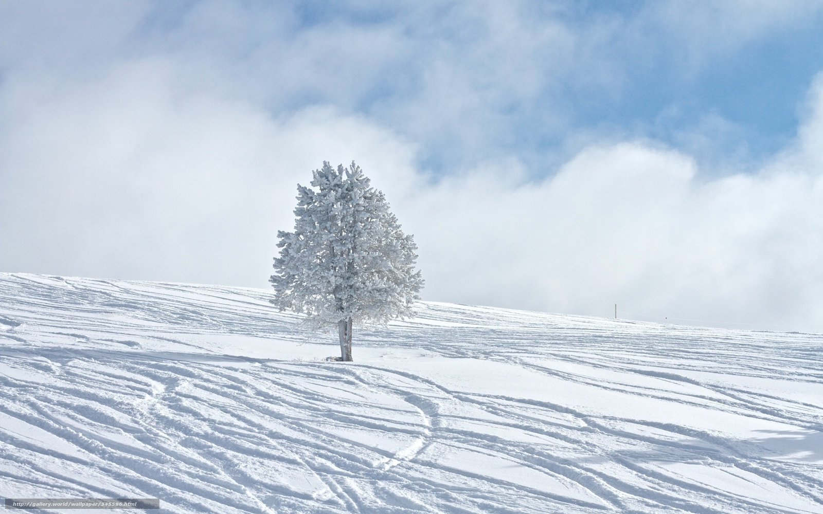 Descargar Gratis Invierno, Winter Wallpaper, Nieve, - Snow Hd Wallpaper Iphone , HD Wallpaper & Backgrounds