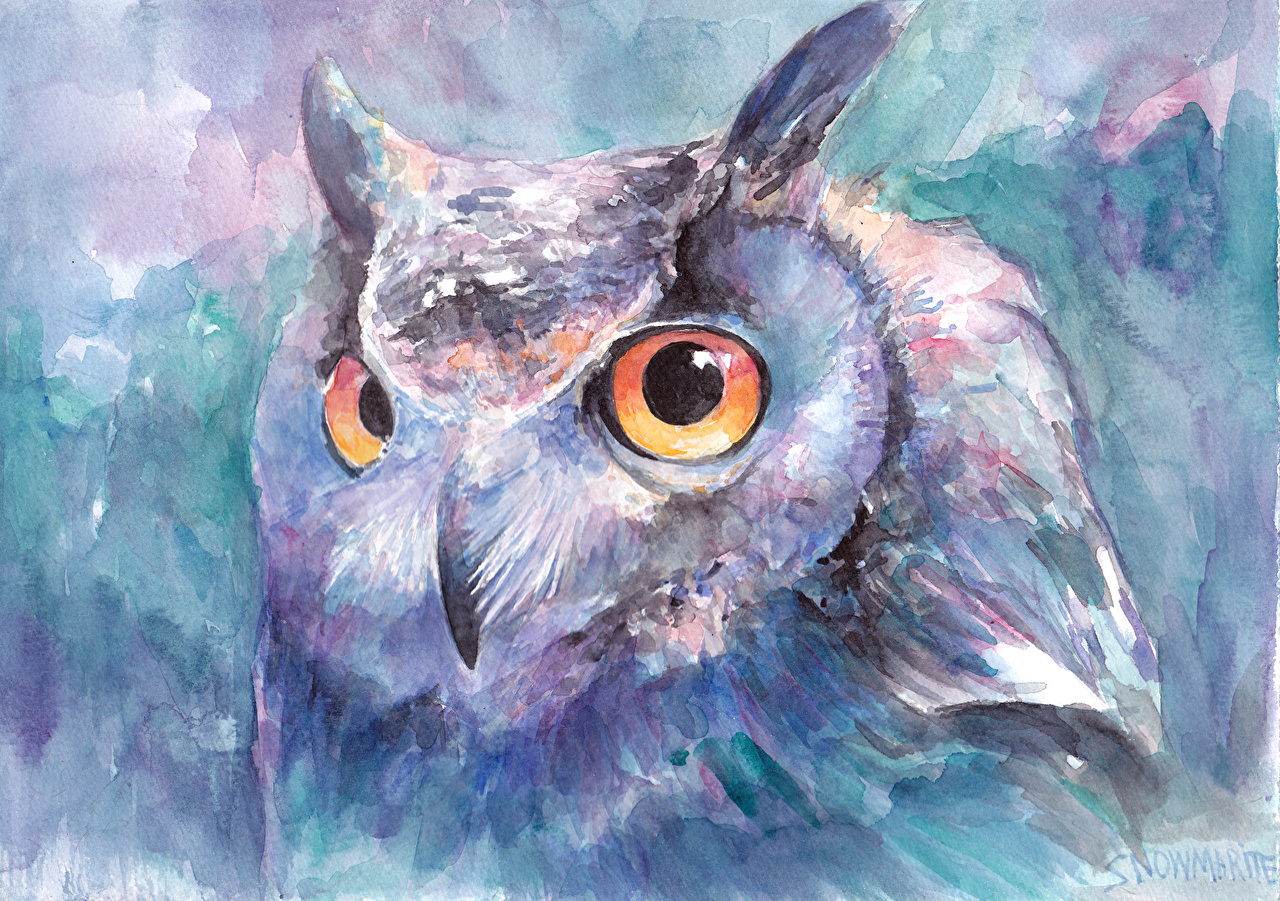 Owl Painting Wallpaper Hd , HD Wallpaper & Backgrounds