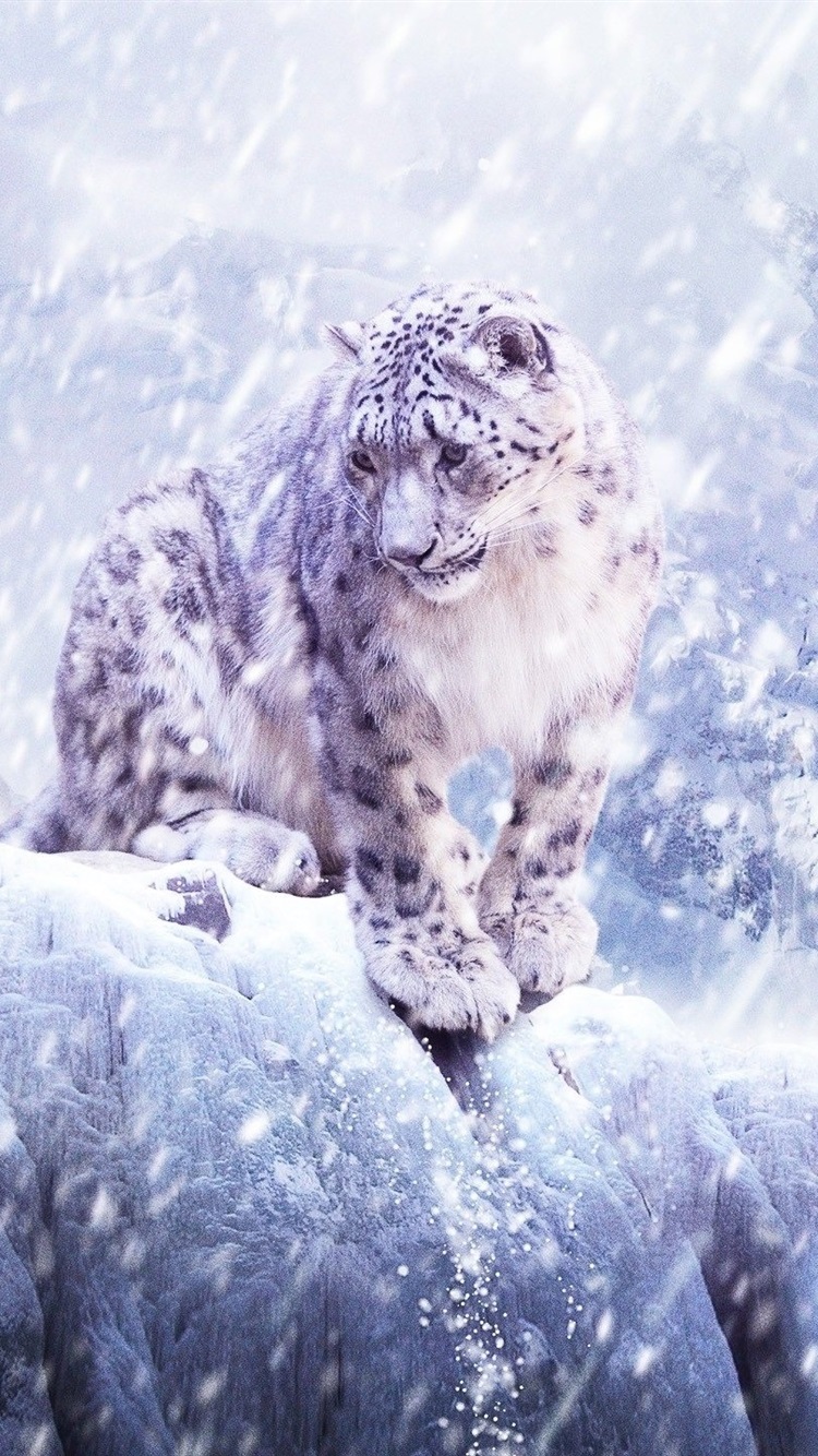 Snow Leopard Ventisca Invierno Iphone 8 7 6 6s Fondos - Snow Leopard Phone Background , HD Wallpaper & Backgrounds
