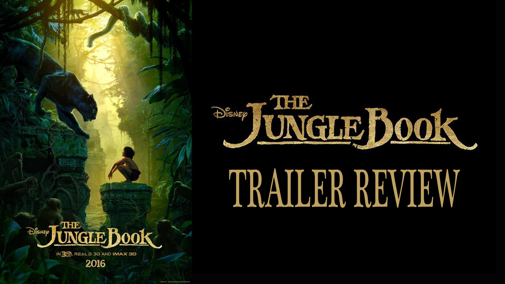 2016 The Jungle Book Wallpaper - Rainforest , HD Wallpaper & Backgrounds