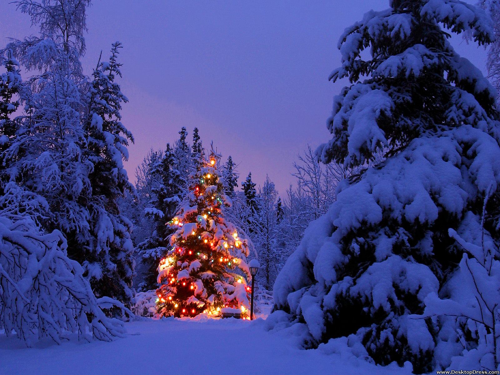 Joyful Season - Christmas Scenery , HD Wallpaper & Backgrounds