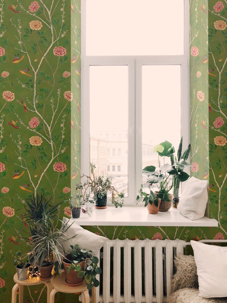 The Joyful Wallpaper Company Wallpaper Wild Rosa Chinensis - Decorar Tu Casa , HD Wallpaper & Backgrounds