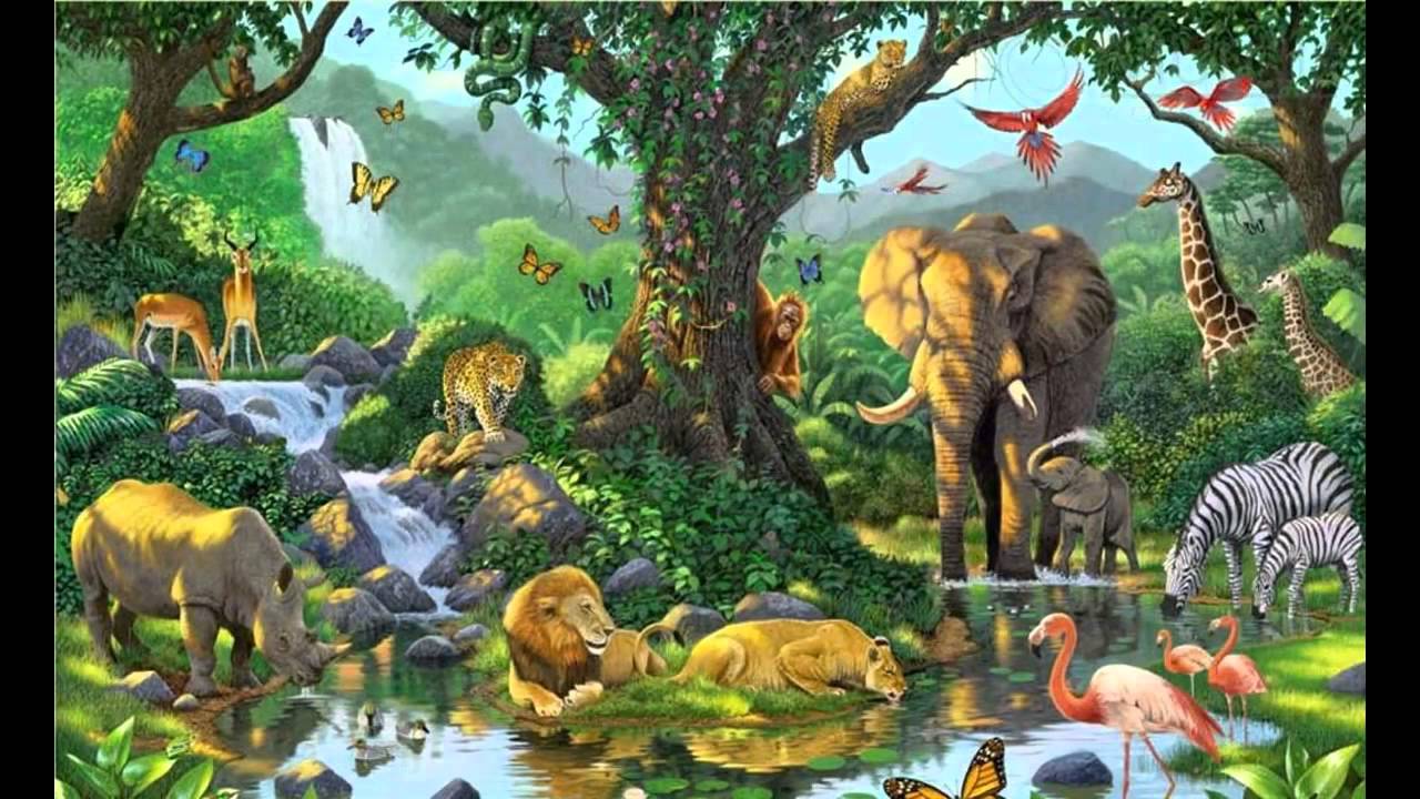 Jungle Book Wallpaper - Jungle Posters , HD Wallpaper & Backgrounds