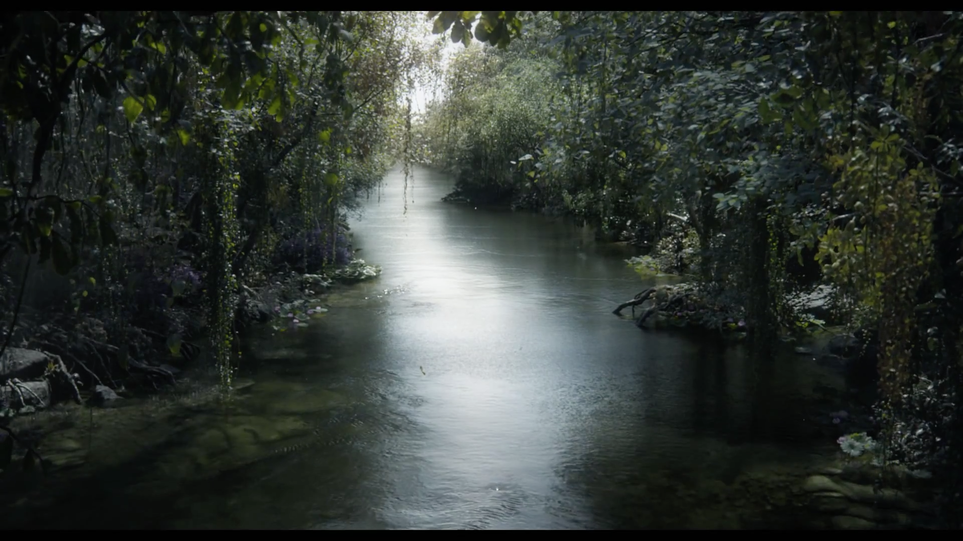 Disney The Jungle Book Jon Favreau Trailer Stills - The Jungle Book , HD Wallpaper & Backgrounds