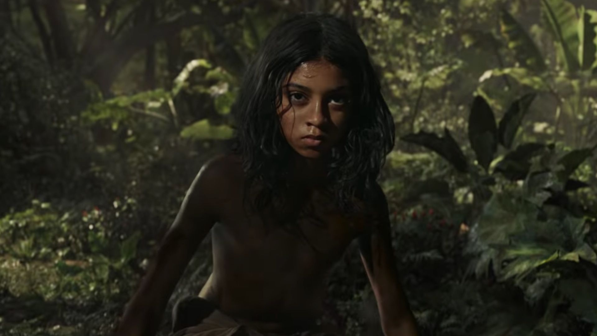 First Trailer For The Andy Serkis Directed Jungle Book - Mowgli Legend Of The Jungle 2018 , HD Wallpaper & Backgrounds