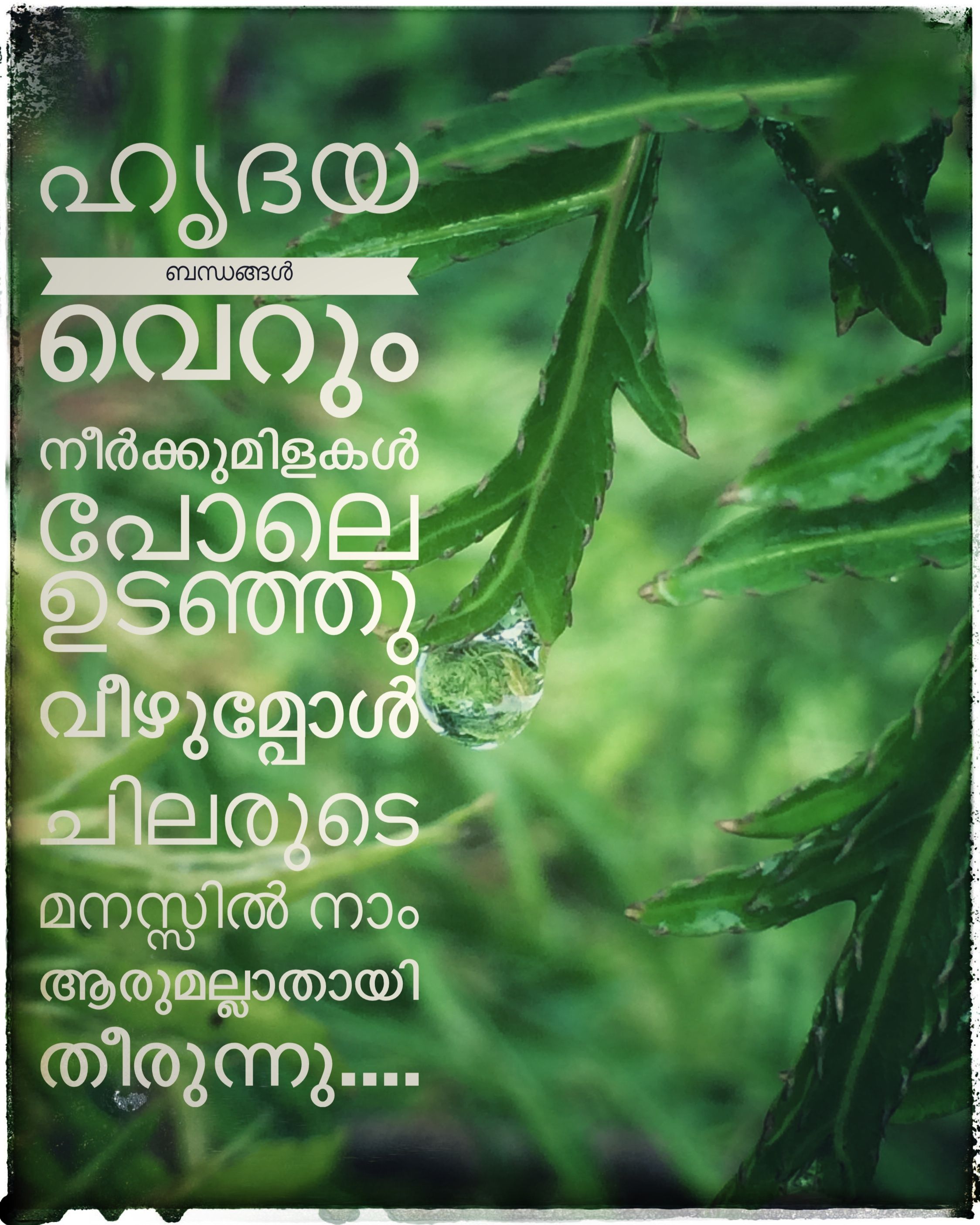 50229216 Malayalam Quote - Sad Quotes Malayalam , HD Wallpaper & Backgrounds