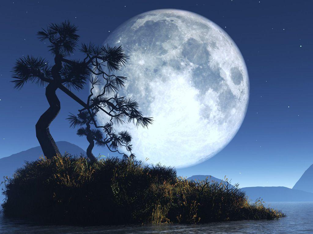 The Moon Images 6 Hd Wallpapers - Full Moon Good Morning , HD Wallpaper & Backgrounds