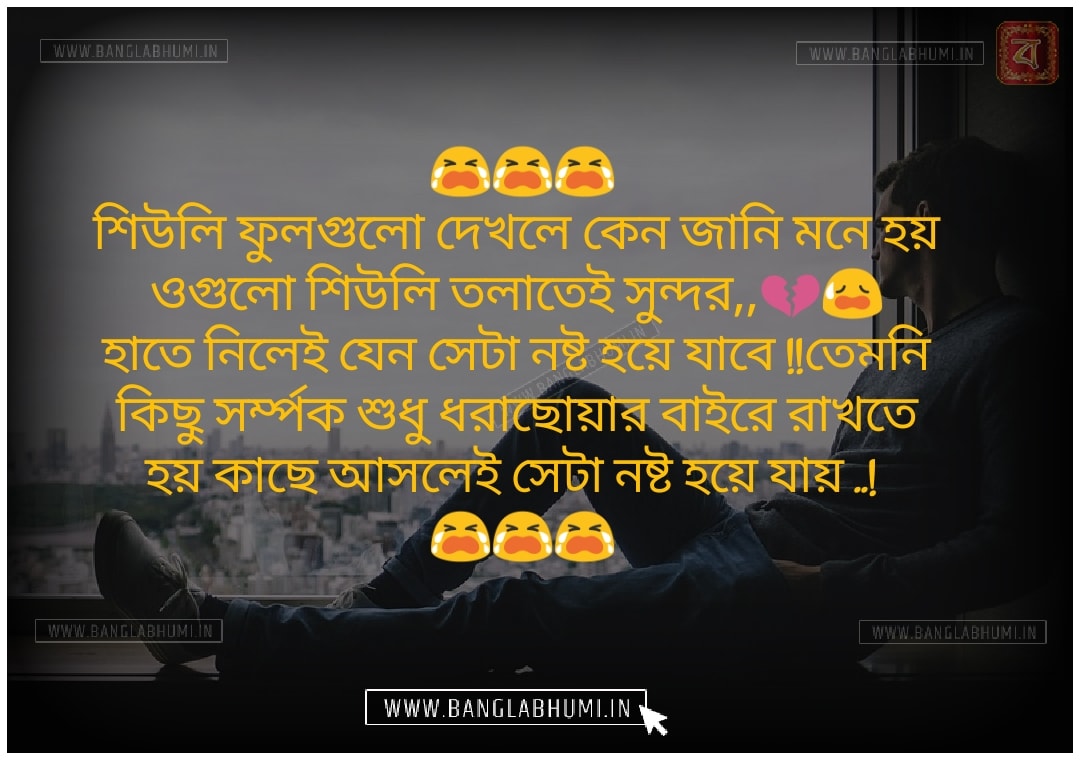 Best Bengali Love Shayari Photo Very Sad Status Shayari Bangla